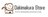 Dakimakura Store Store Logo